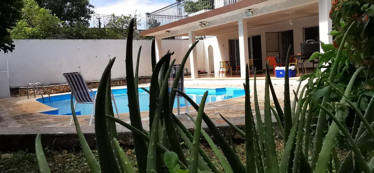 Jardin Merida Exterior photo